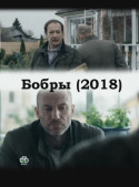 Бобры 2018